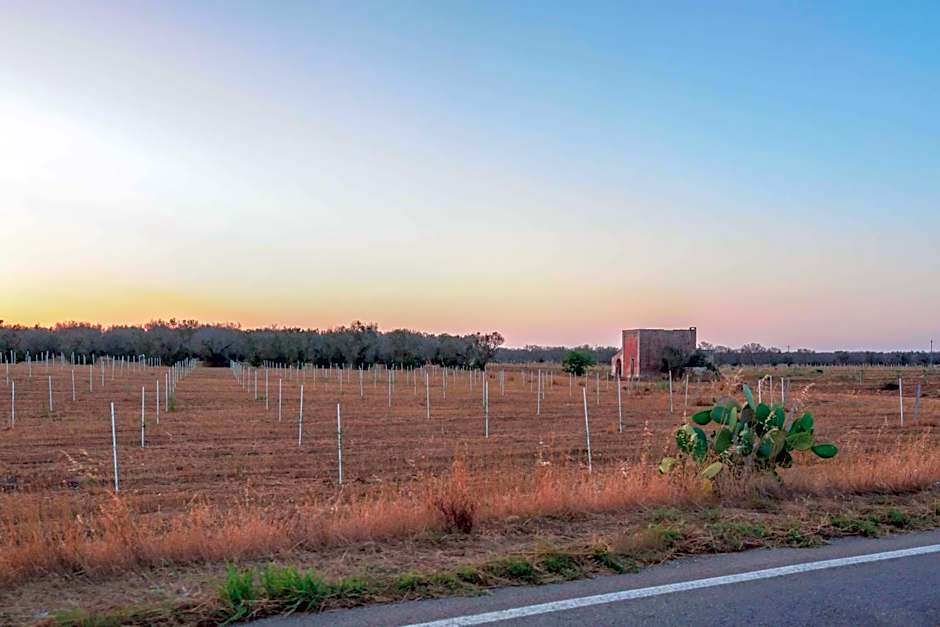 Antico Frantoio Cairoli B&B Exclusive Room