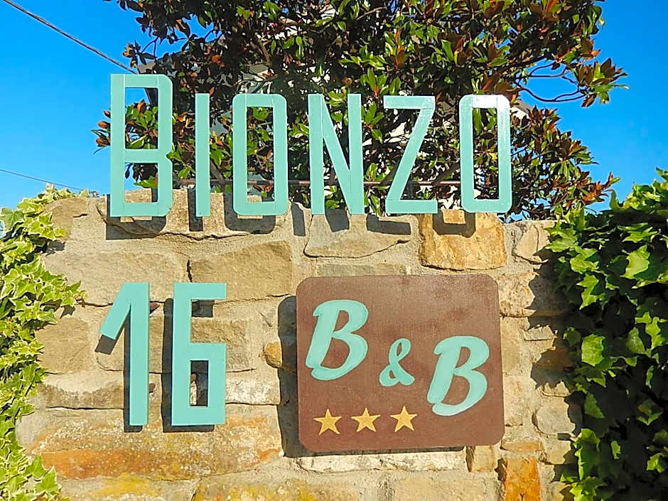 B&B Bionzo16