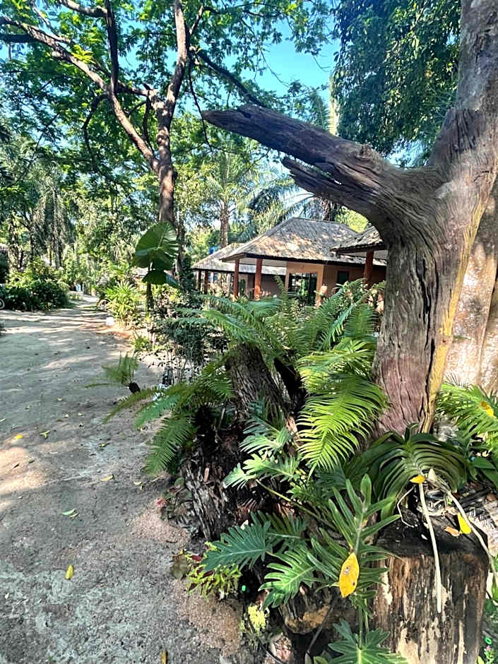 Sunny Cove Beach Resort Koh Phayam