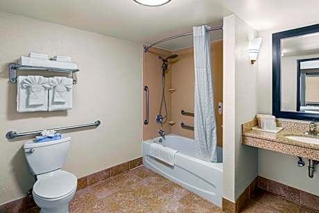 1 King Bed Suite Nonsmoking Accessible