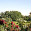 PIETRASANTA - VERSILIA - Villa Arzilla Garden con piscina