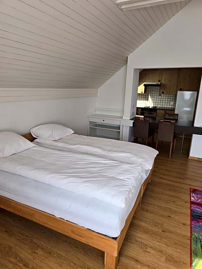 Landgasthof zum Zimmermann Jona - Rapperswil