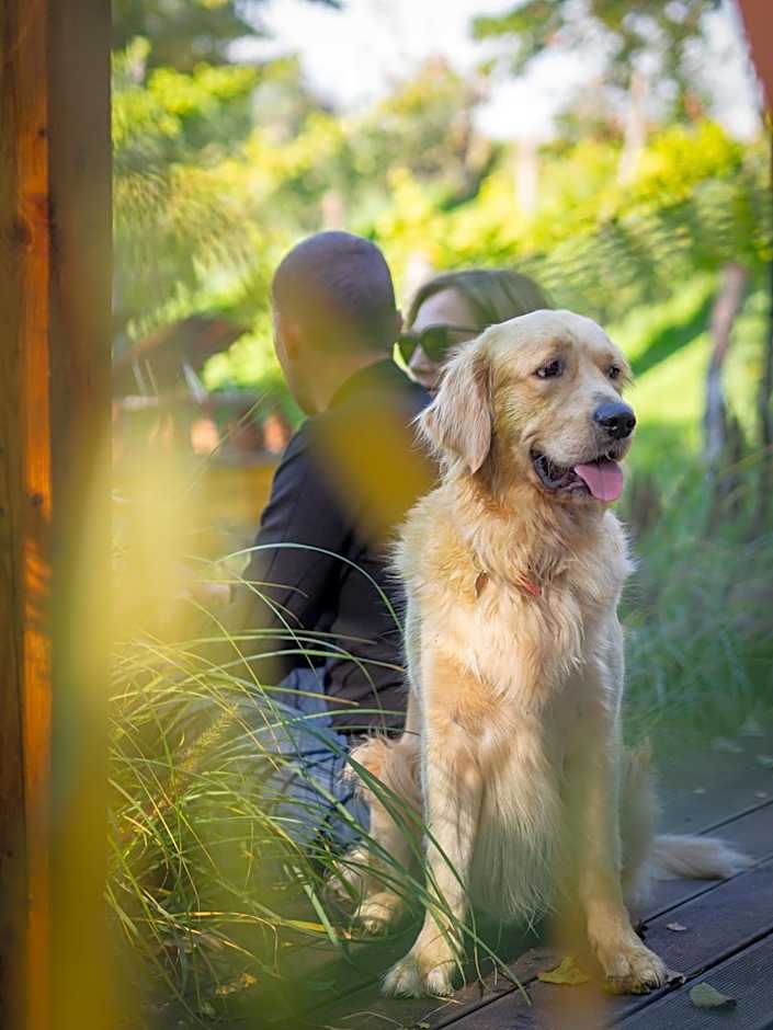 Sen i Wino, domki na winnicy ze strefą SPA