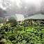 Ibex Resorts, Valparai Mistly