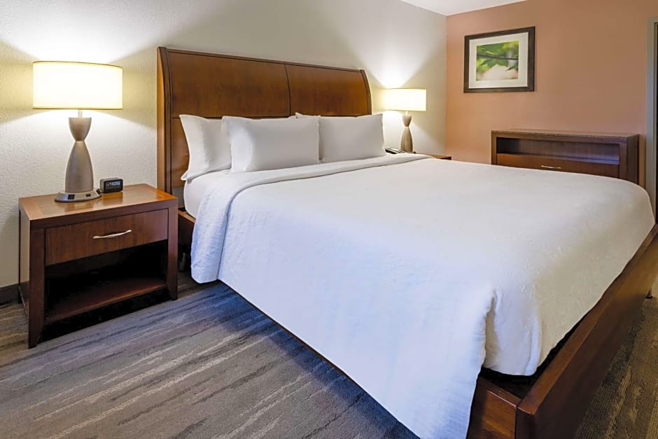 Hilton Garden Inn Roanoke