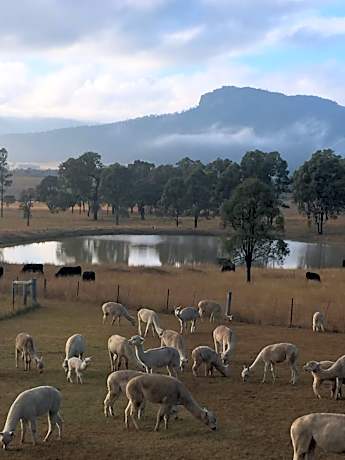 Starline Alpacas Farmstay Resort