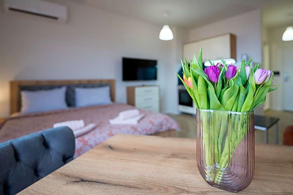 WOW studios for rent - bul Montevideo 25A - B