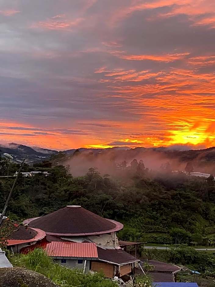 Cameron Highlands Blueberry Earth House