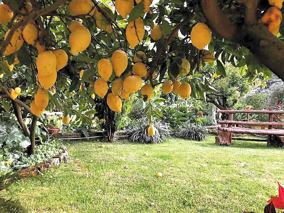 L'Angolo di Campagna