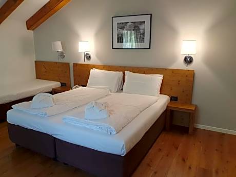 Triple Room with Terrace