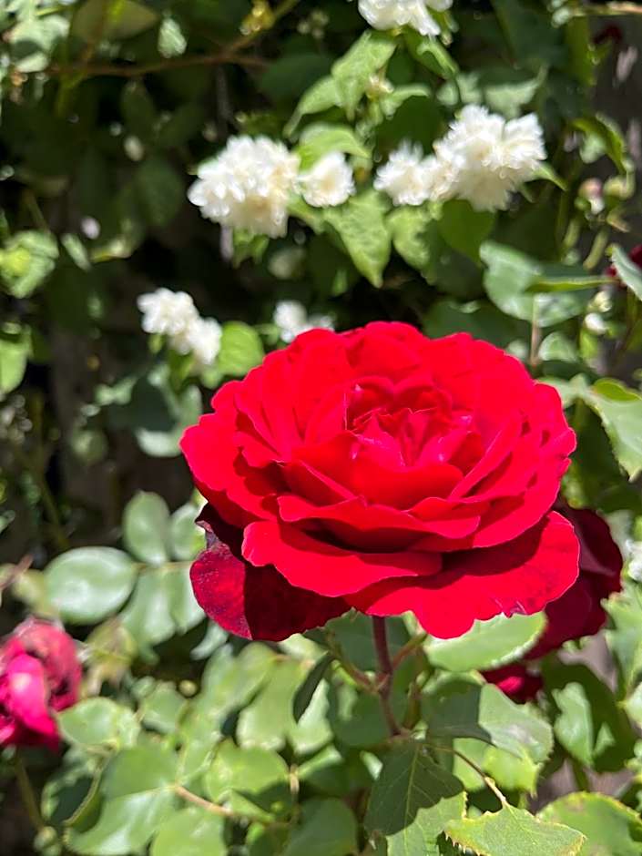 Cycle Inn Bed and Breakfast