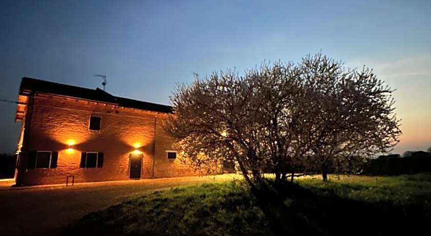 La Cascina di Balsamico Bonini
