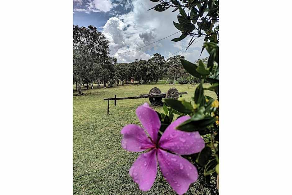 Pousada Chalé Terra Viva