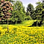 Wynberg House Bed & Breakfast Swansea