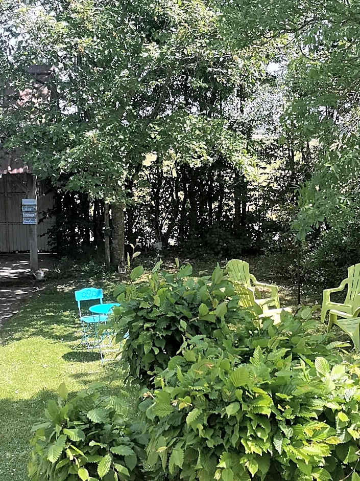 Les Eléphants bleus