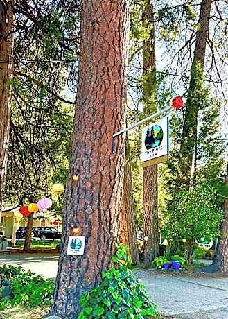 The Pines Inn and Cottages