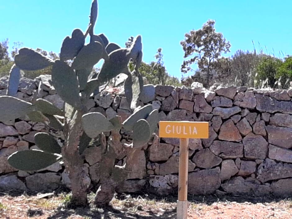 Tenuta L'Alba di monte Matino