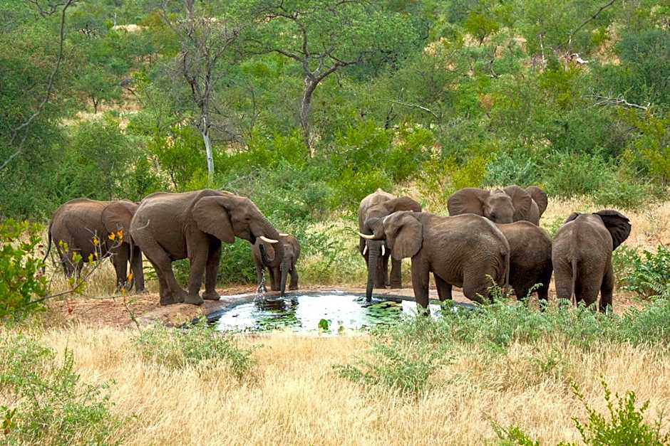 Tulani Boutique Lodge