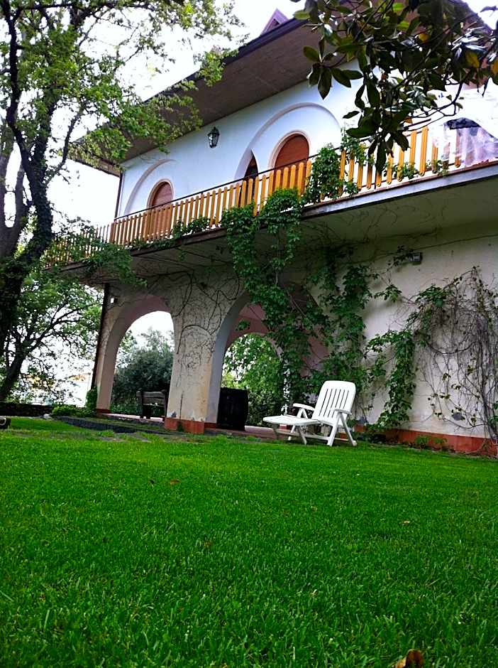 Domus Verdiana