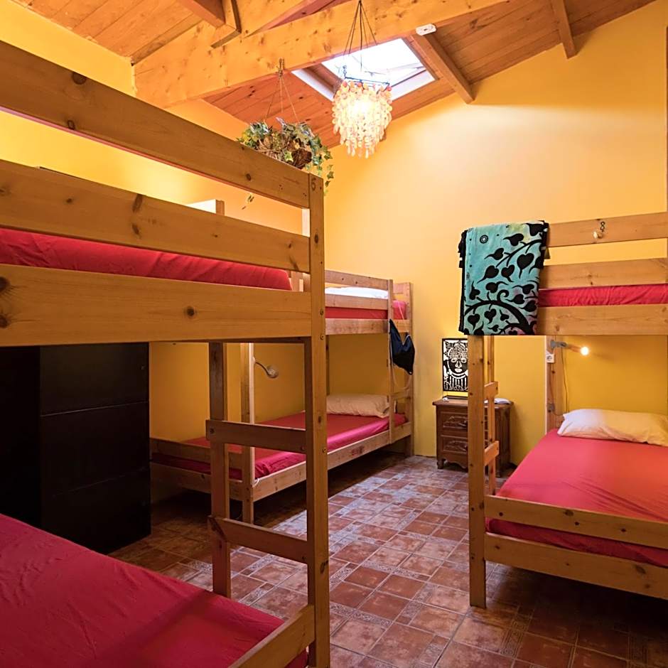 Los Amigos NEST hostel