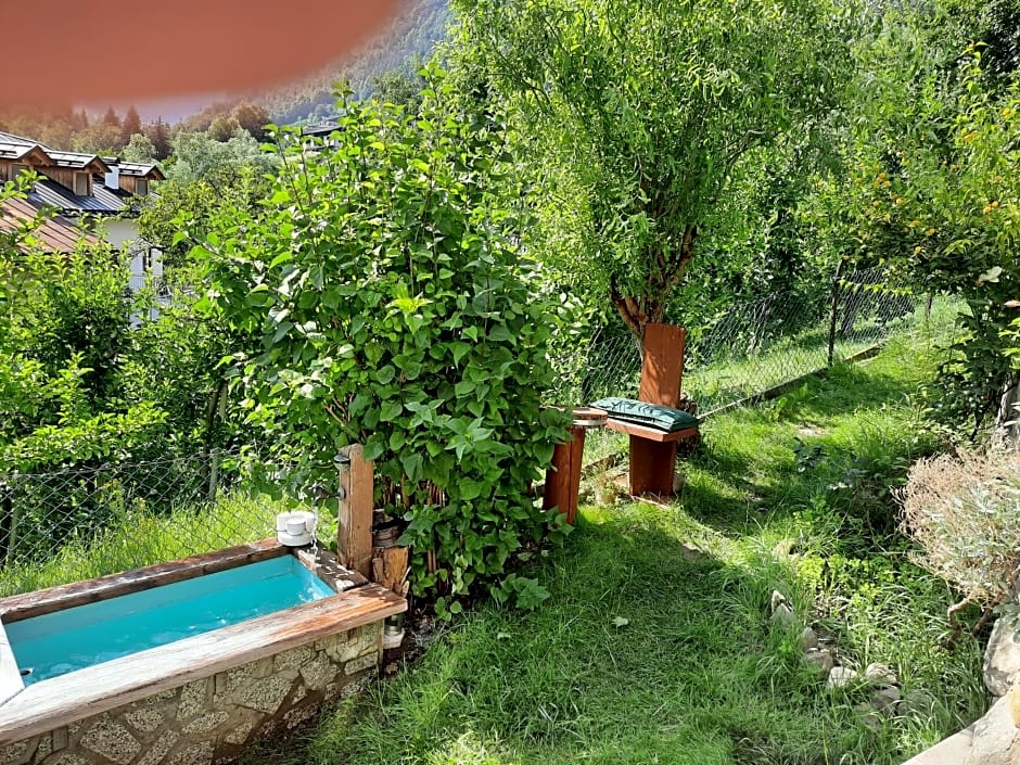 Alla Curva di Elia Manzoni