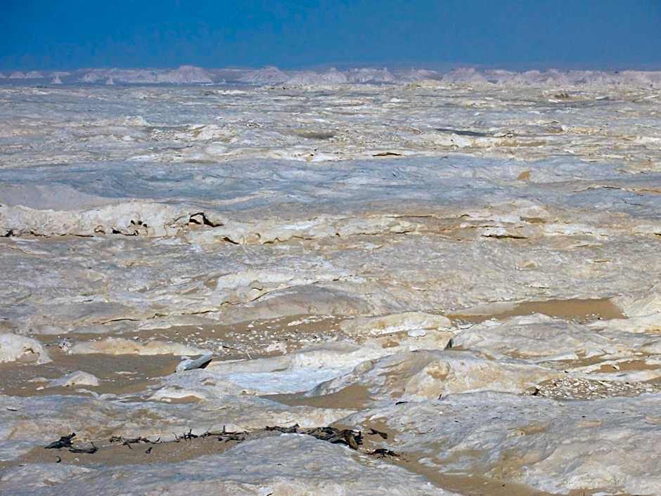 Western Desert Hotel & Safari