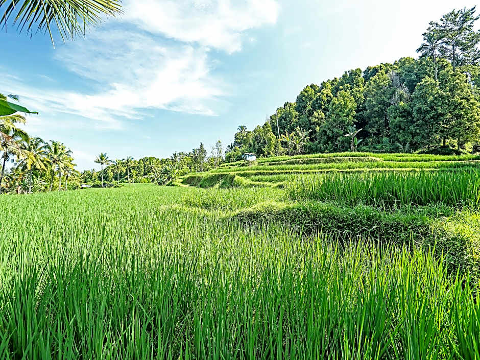 OYO Homes 91094 Desa Wisata Banyuatis