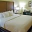 Comfort Inn & Suites Macon