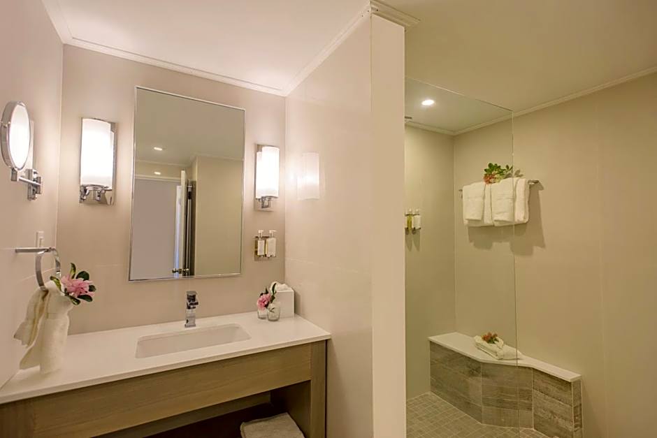 Bougainvillea Barbados