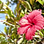 Toyoko Inn Okinawa Ishigaki-jima
