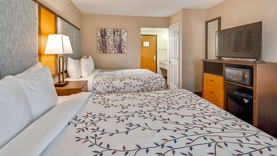 Best Western Plus of Birch Run/Frankenmuth