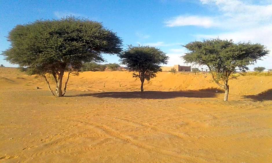 Tazoult Ouzina