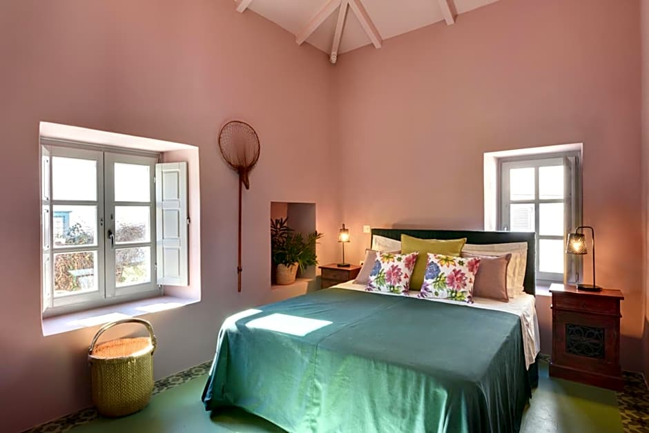 Cactus Hydra - Art Apartments