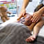 APLEND Wellness Hotel Borovica