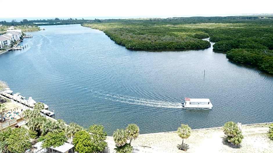 TAMPA BAY, BEACH step away, WIFI, FREE PARKING,POOLS, JACUZZI