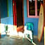 Salty Dog Hostel