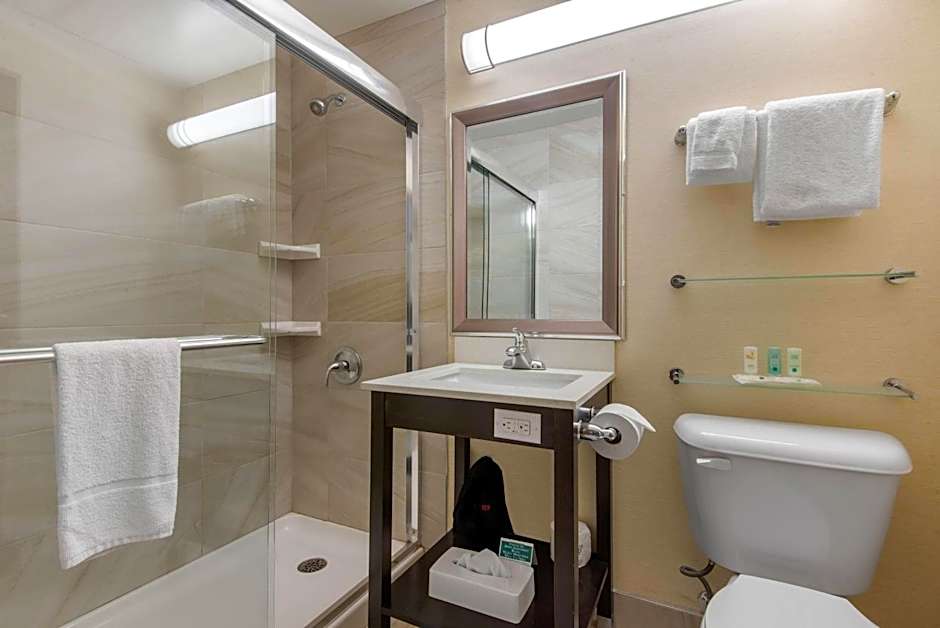 Quality Inn & Conference Centre Downtown