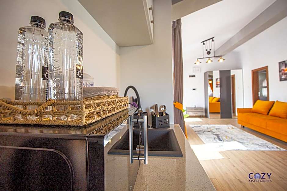 Unique and Cozy ApartHotel in Brasov