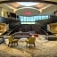 Hilton Garden Inn Dallas - At Hurst Conference Center