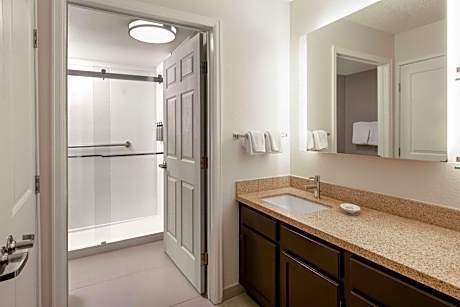 Studio, 1 King Bed with Sofa bed (1 King Bed and 1 Double Sofa Bed)