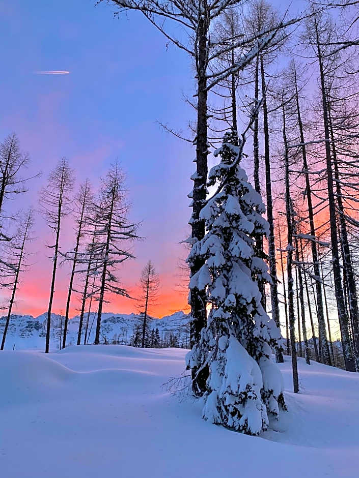 Residence Baita Antlia