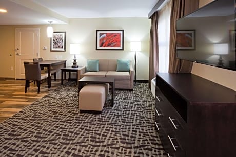 1 King Bed Studio Suite Nonsmoking