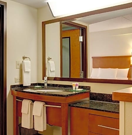 King Room with Sofa Bed and Accessible Tub - Disability Access