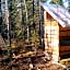 Blackburn Cabins - McCarthy, Alaska