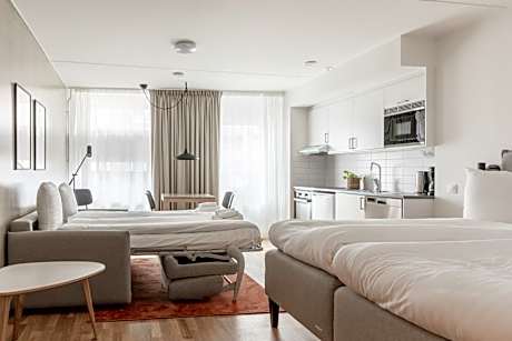 Studio with Sofa Bed