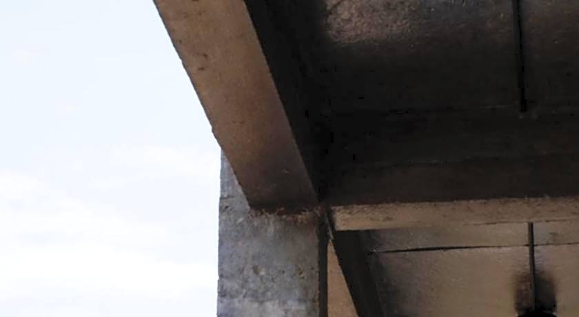 Black Elephant Boutique