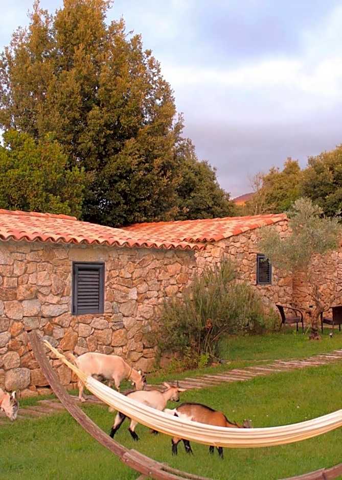 Bergerie du Prunelli