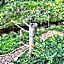 Wald ist Zukunft