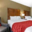 Comfort Inn & Suites Near Mt. Rushmore