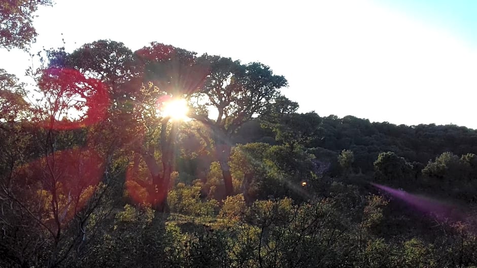 Agriturismo La tanca
